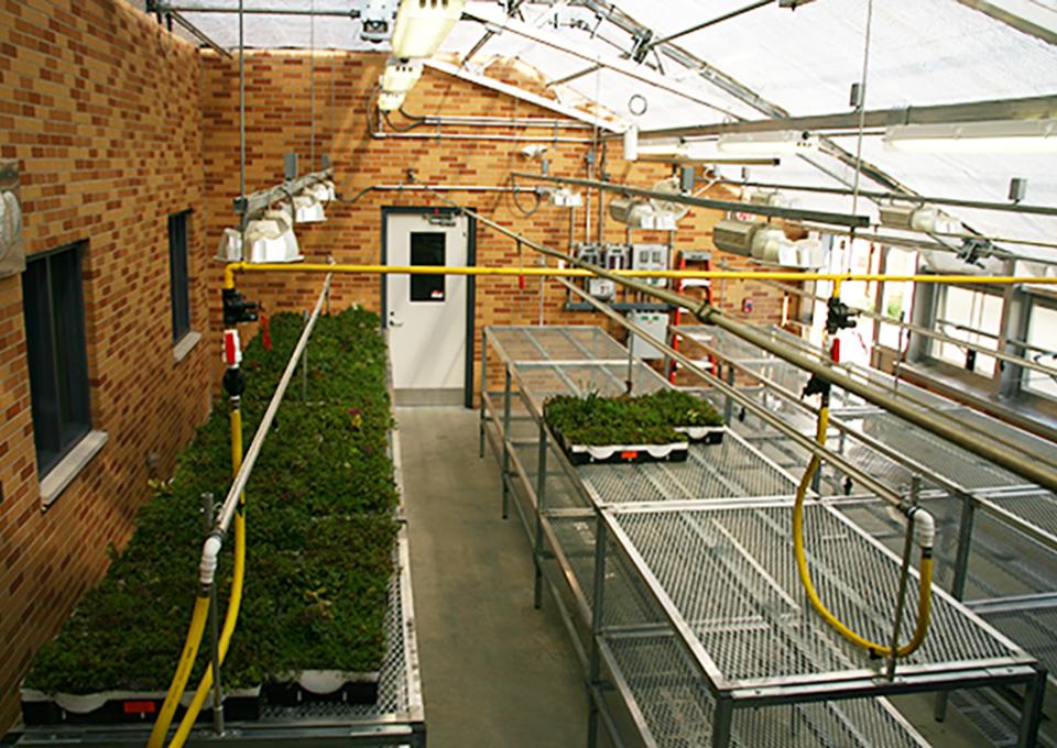 Plant care room with water sprinkling system.